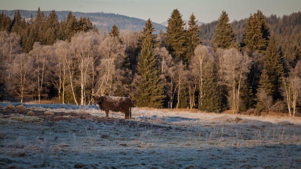 Penzion Horska Kvilda Buitenkant foto