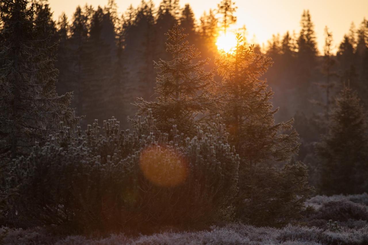 Penzion Horska Kvilda Buitenkant foto