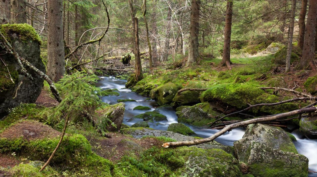 Penzion Horska Kvilda Buitenkant foto